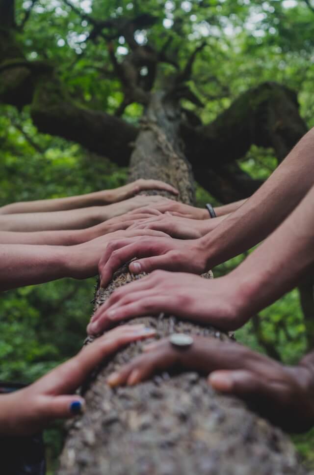 Teamwork