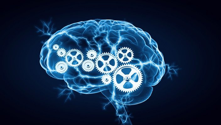 Pelatihan Brain Power
