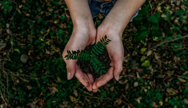 sustainabilty reporting