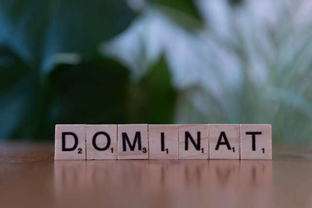 Dominance (Dominan), Influence (Pengaruh), Steadiness (Ketegasan), dan Conscientiousness (Kesungguhan)