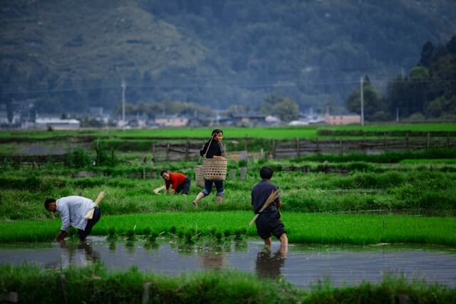 Manajemen Agribisnis dan Perikanan